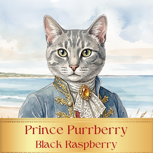 Prince Purrberry- Black Raspberry Flavored Coffee